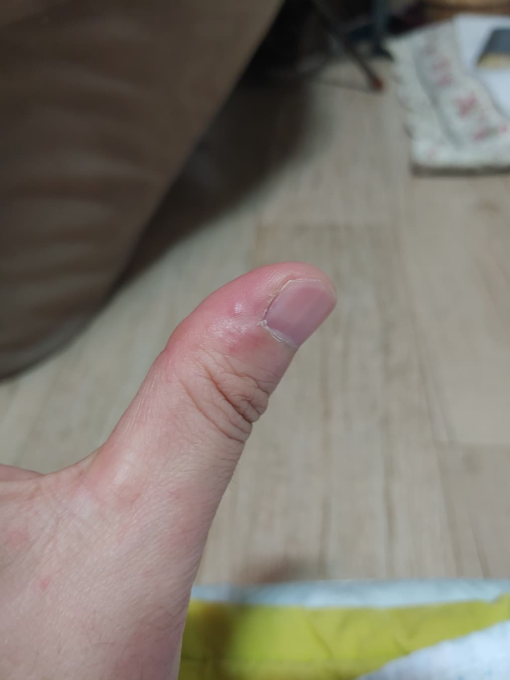 3번 째 사진