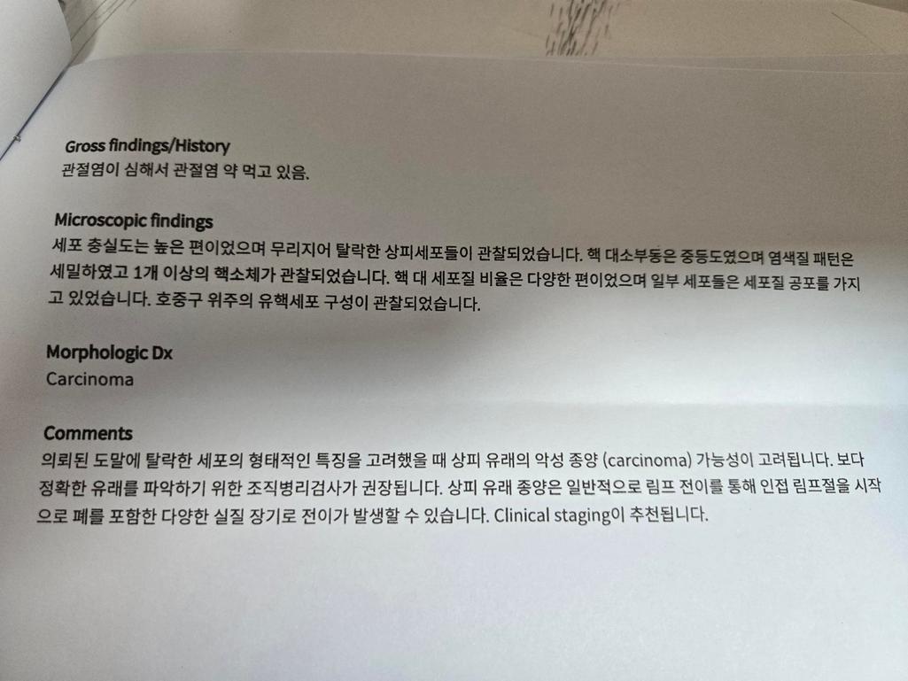 4번 째 사진