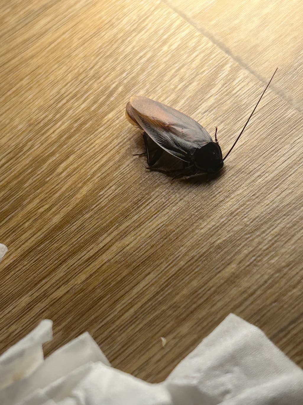 4번 째 사진