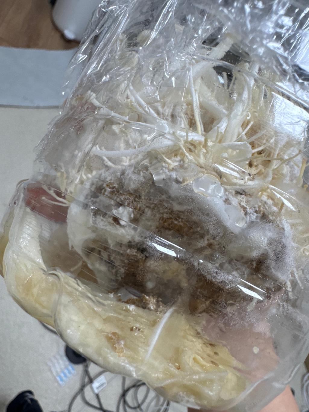 3번 째 사진