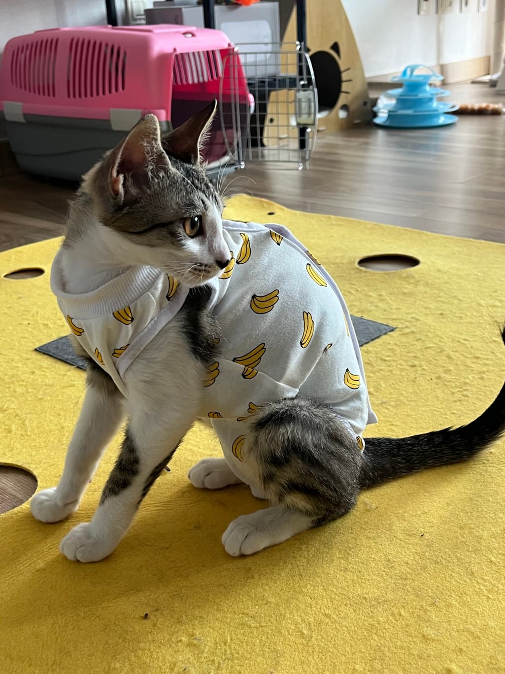 1번 째 사진