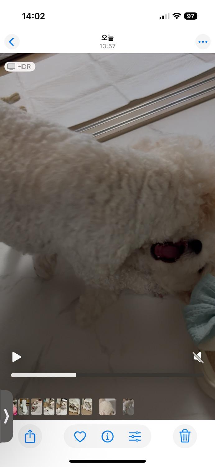 2번 째 사진