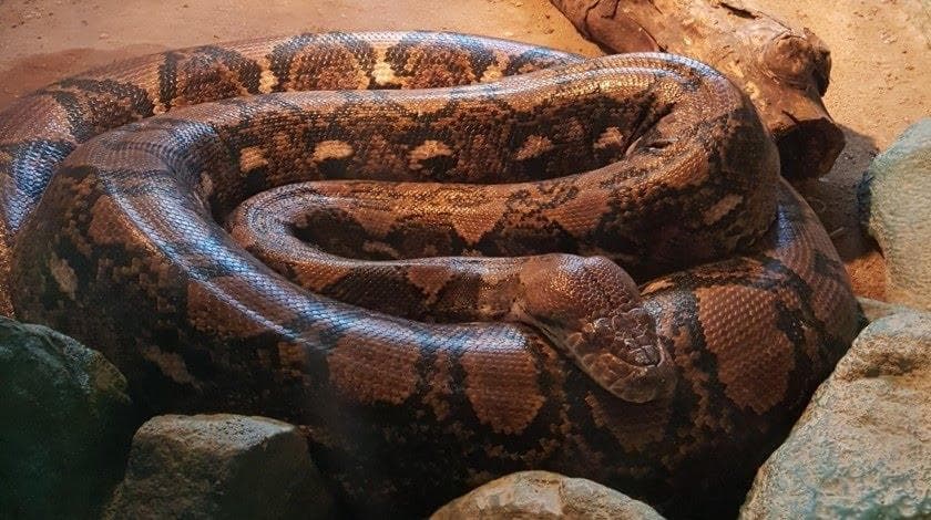 3번 째 사진