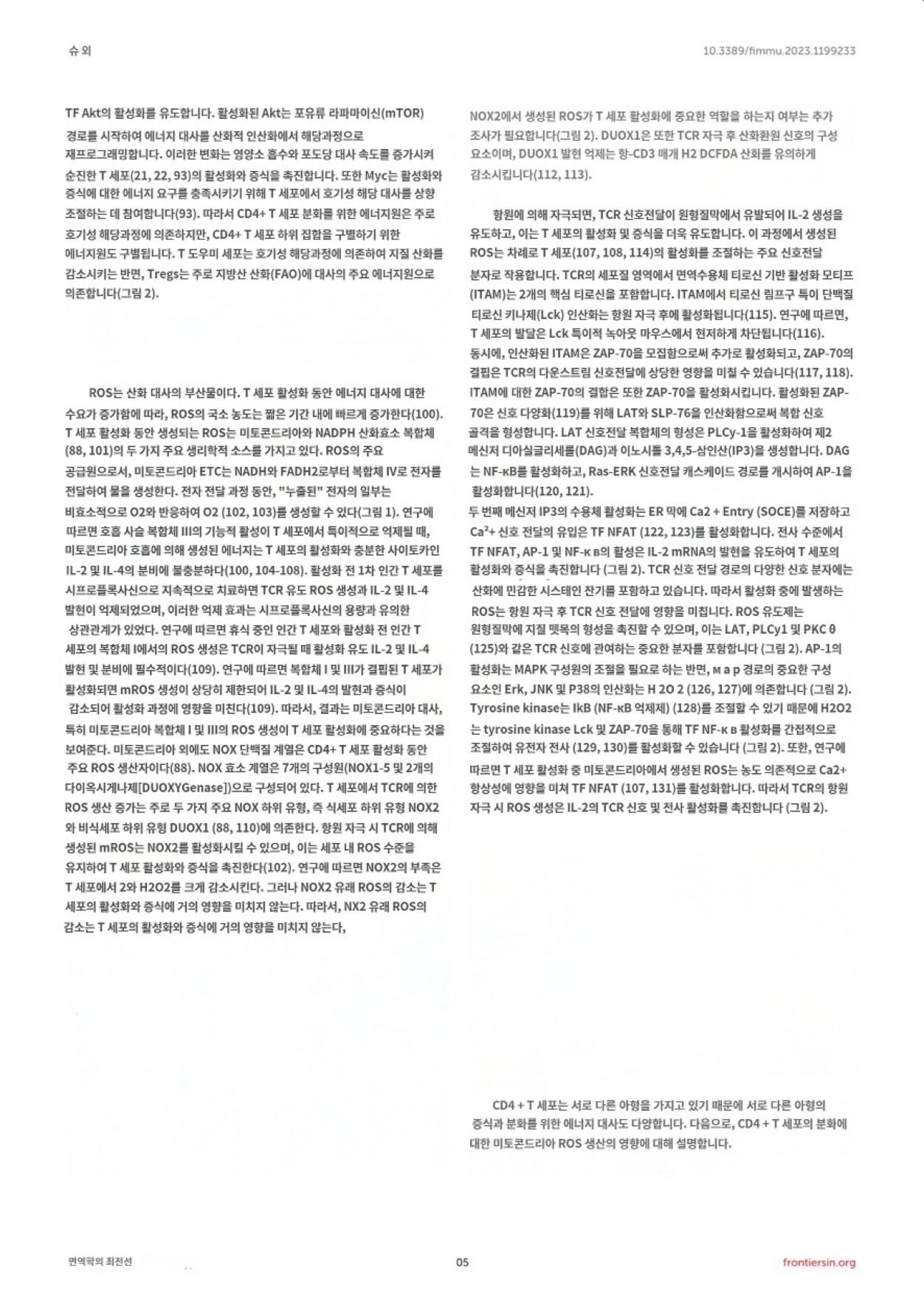 3번 째 사진