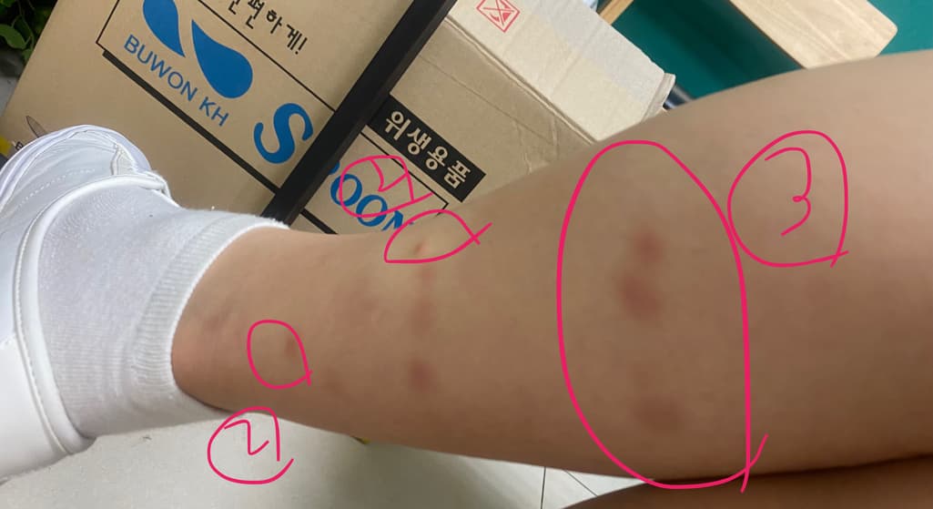 6번 째 사진