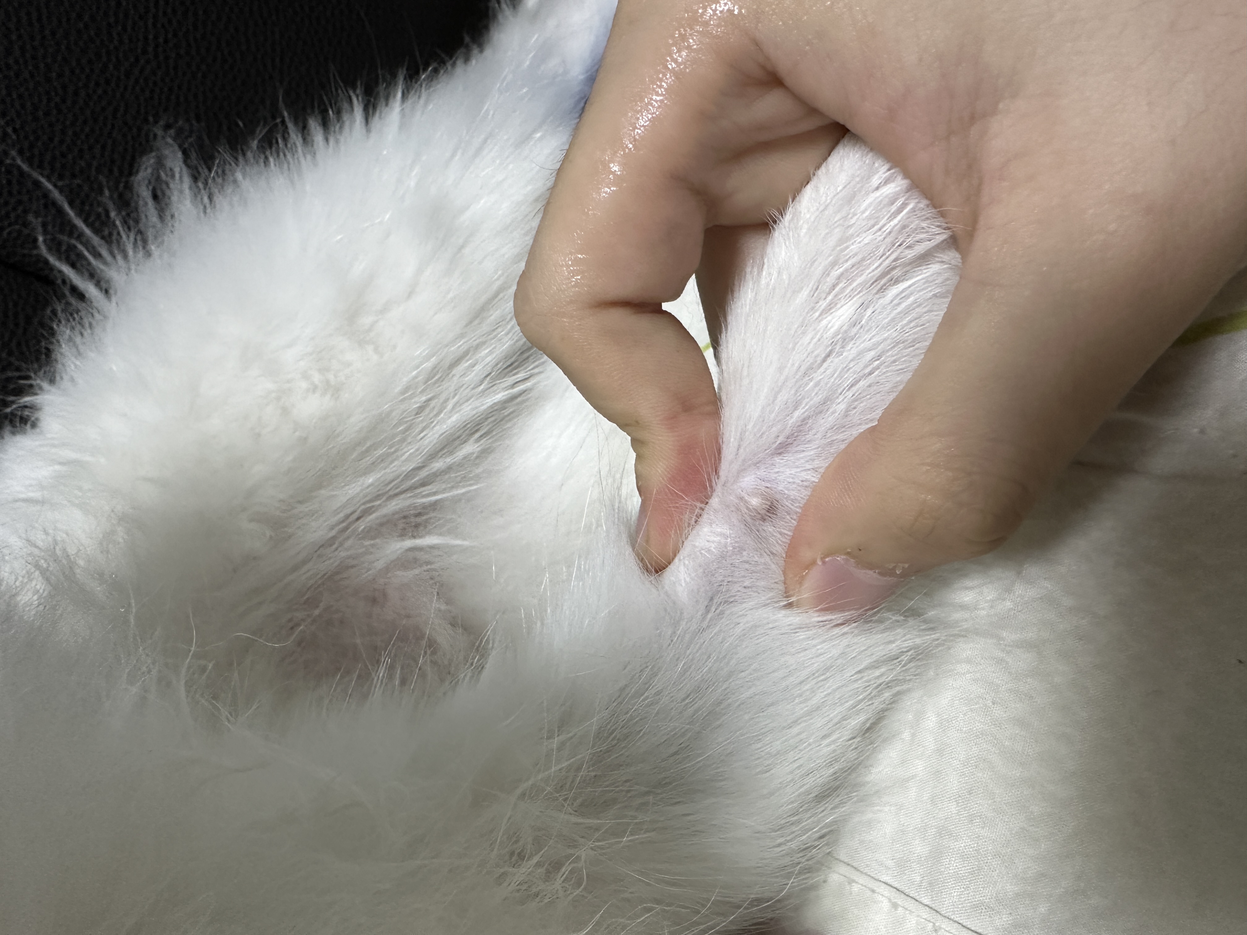 2번 째 사진