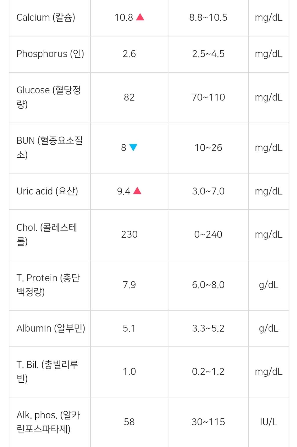 2번 째 사진