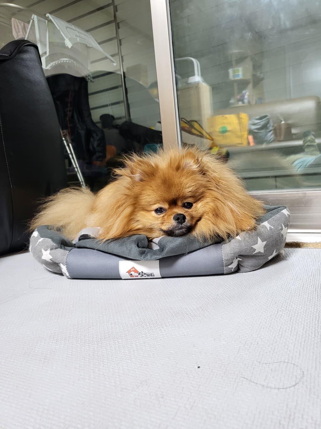 2번 째 사진