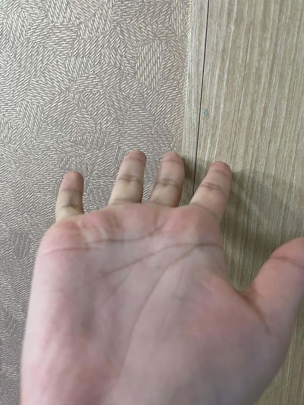 2번 째 사진