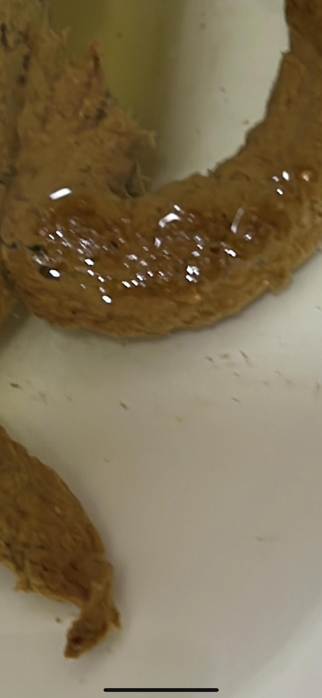 2번 째 사진