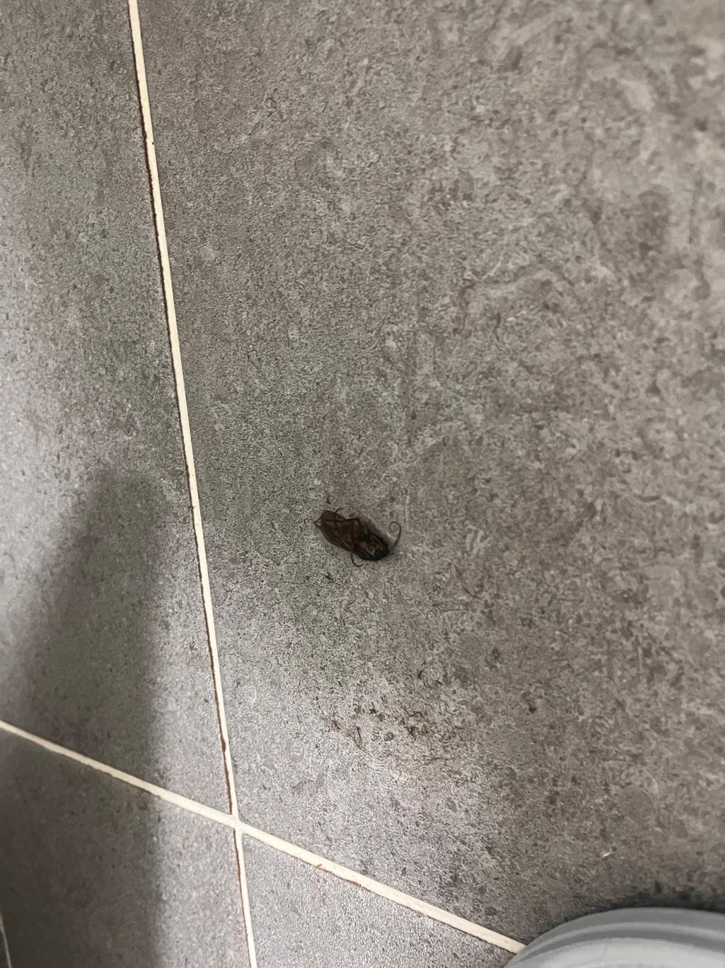 2번 째 사진