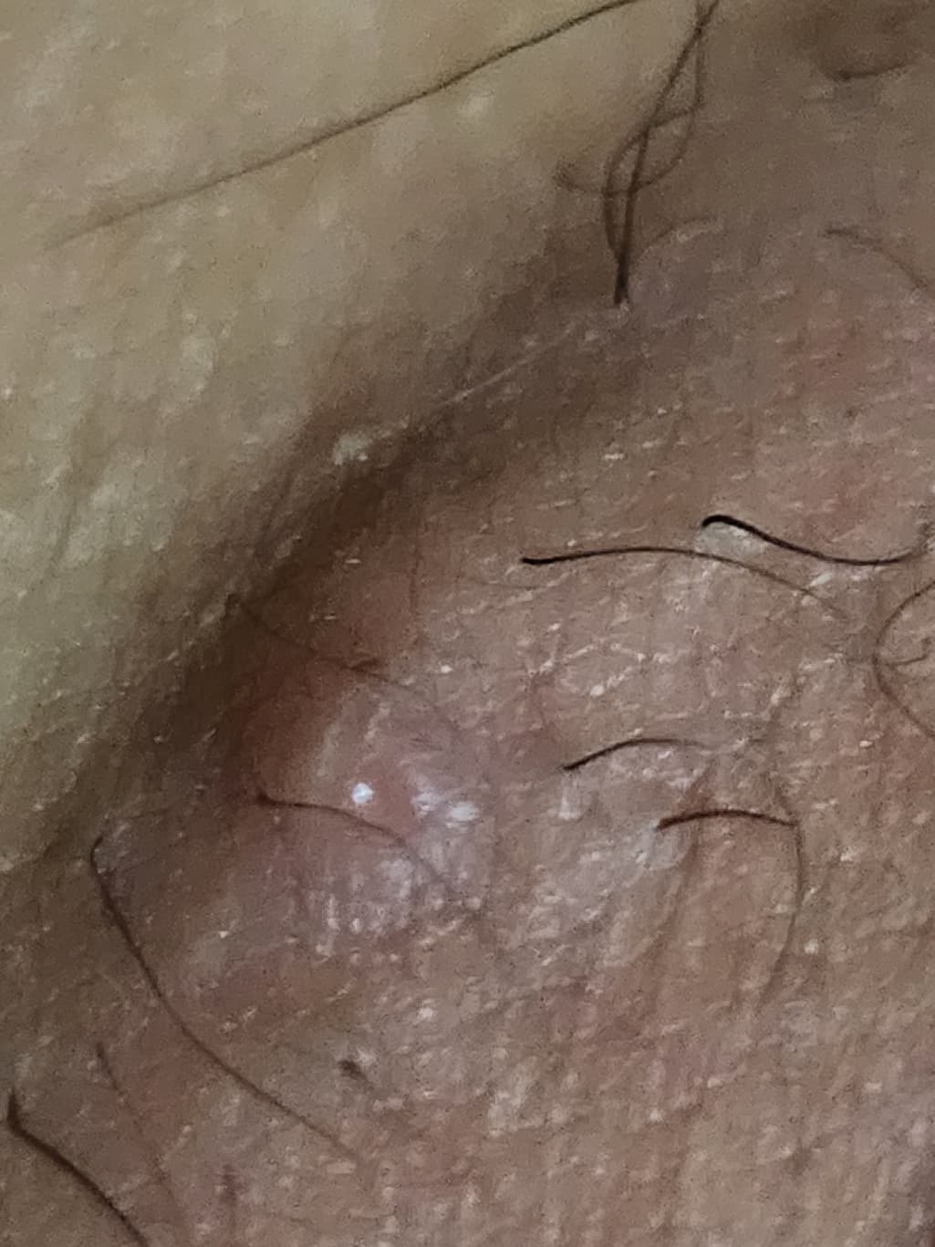 4번 째 사진
