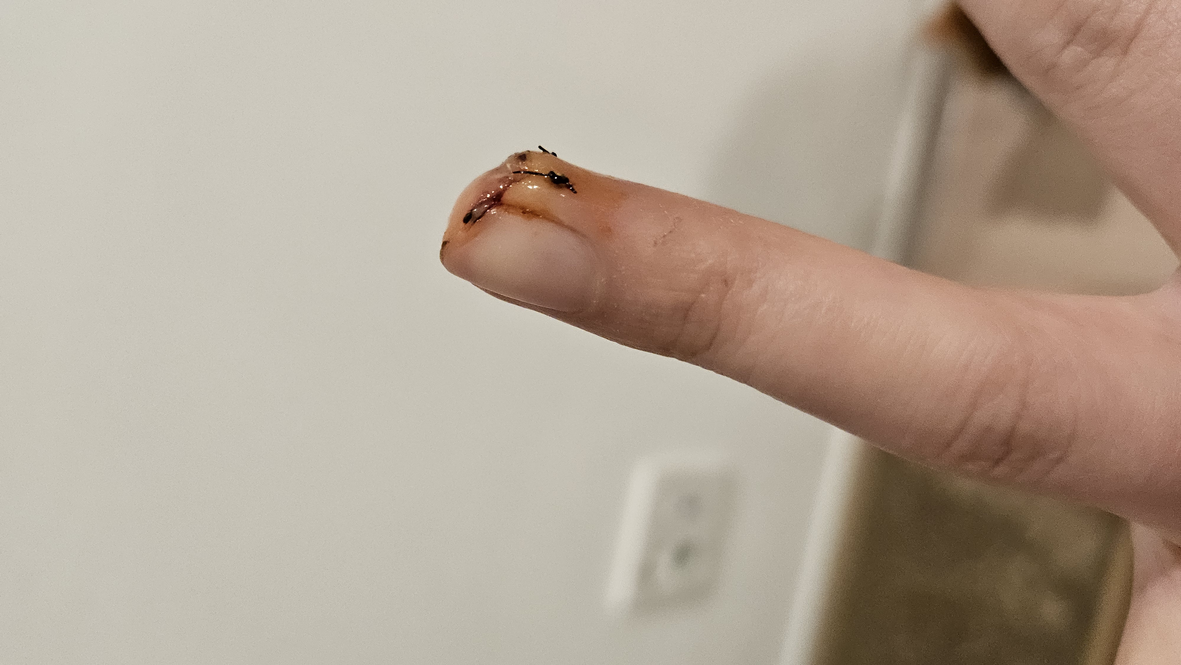 3번 째 사진