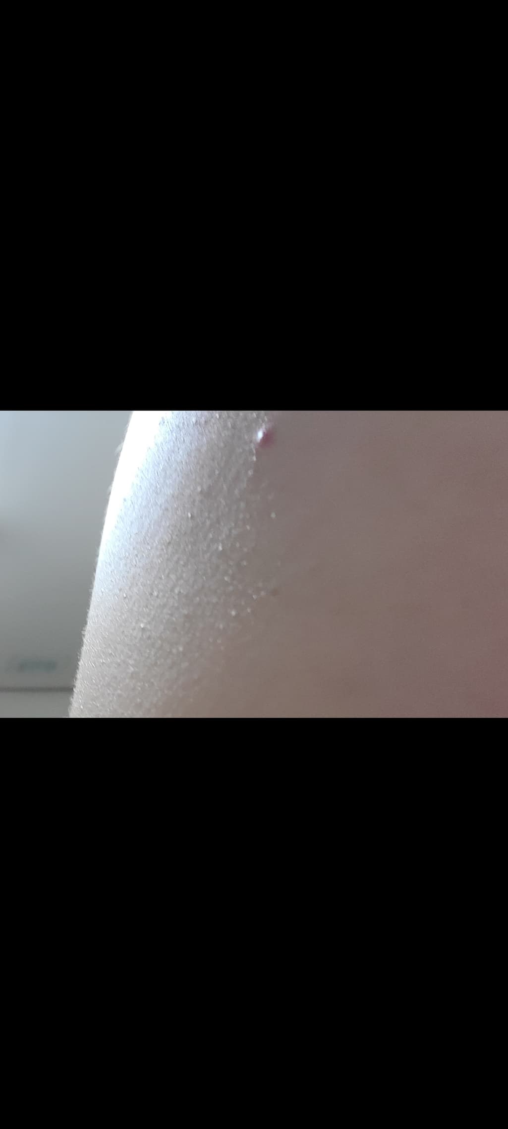 3번 째 사진