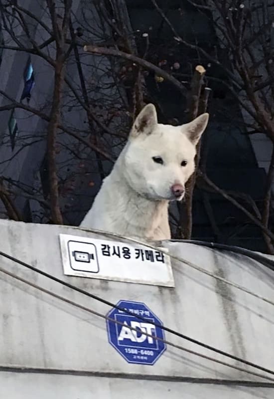 1번 째 사진