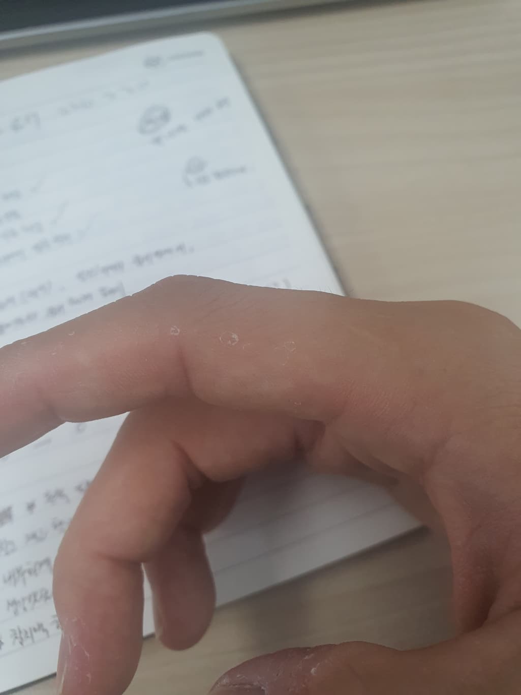 1번 째 사진