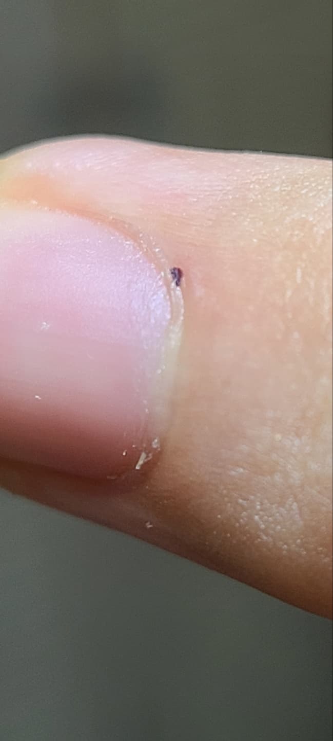 4번 째 사진
