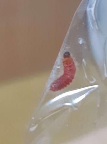 2번 째 사진