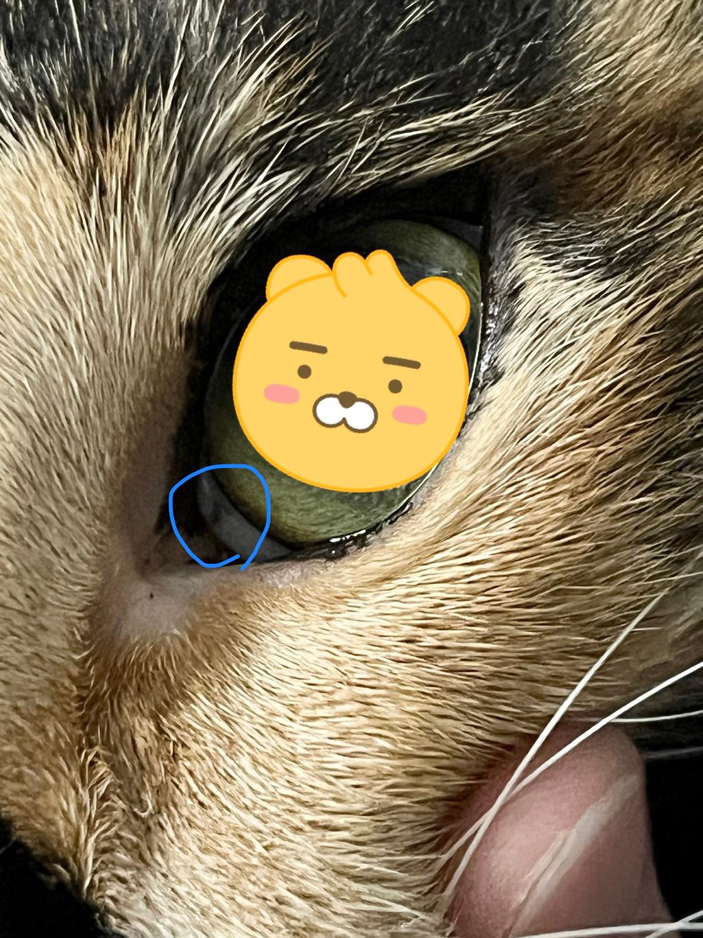 2번 째 사진