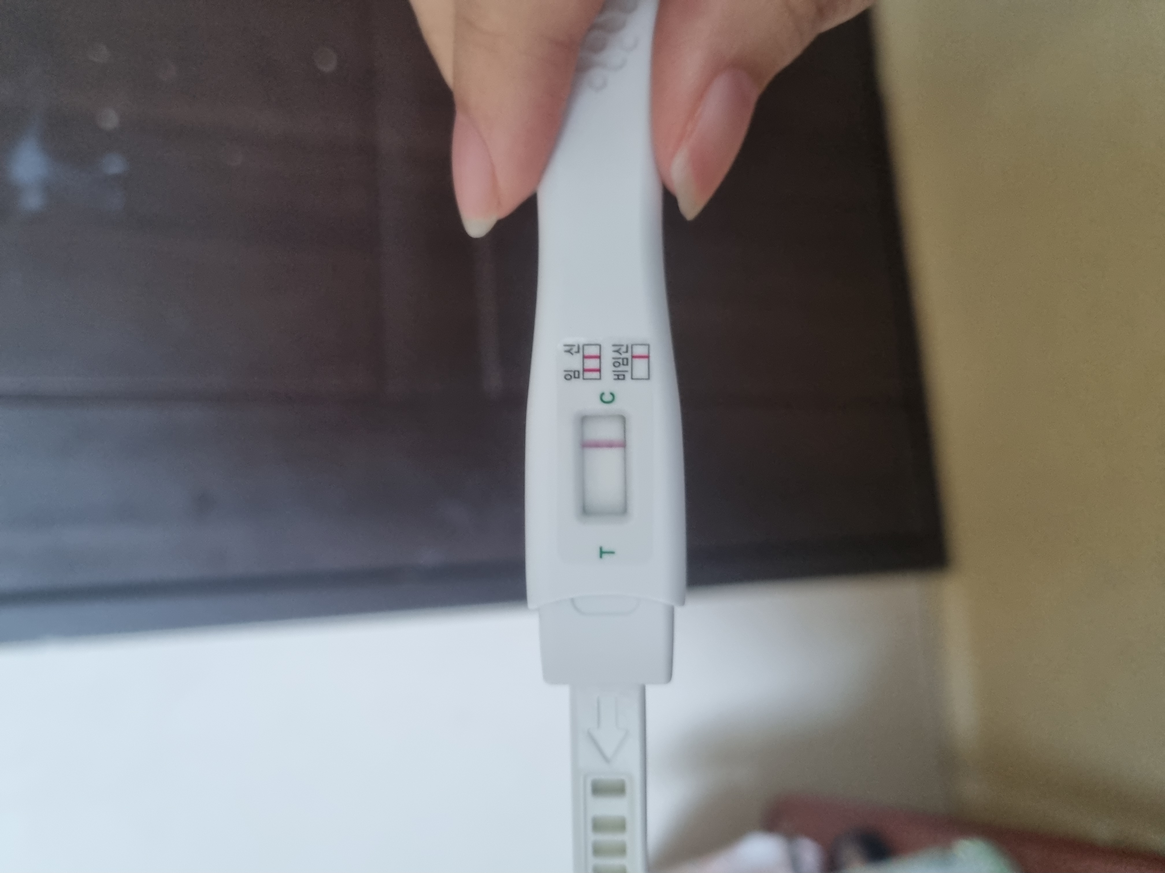 2번 째 사진