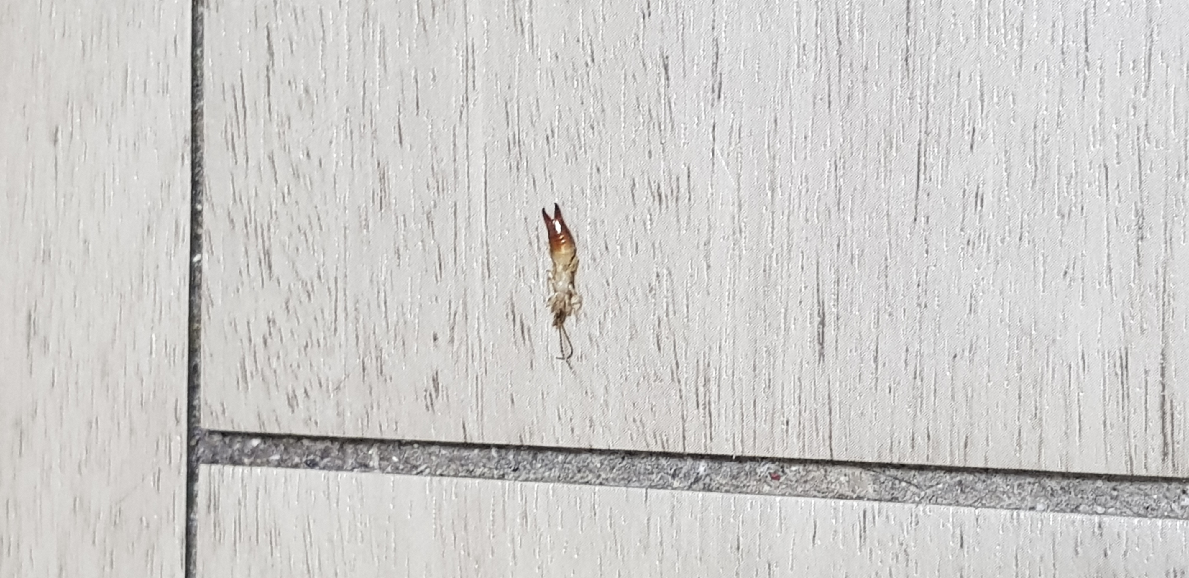 2번 째 사진