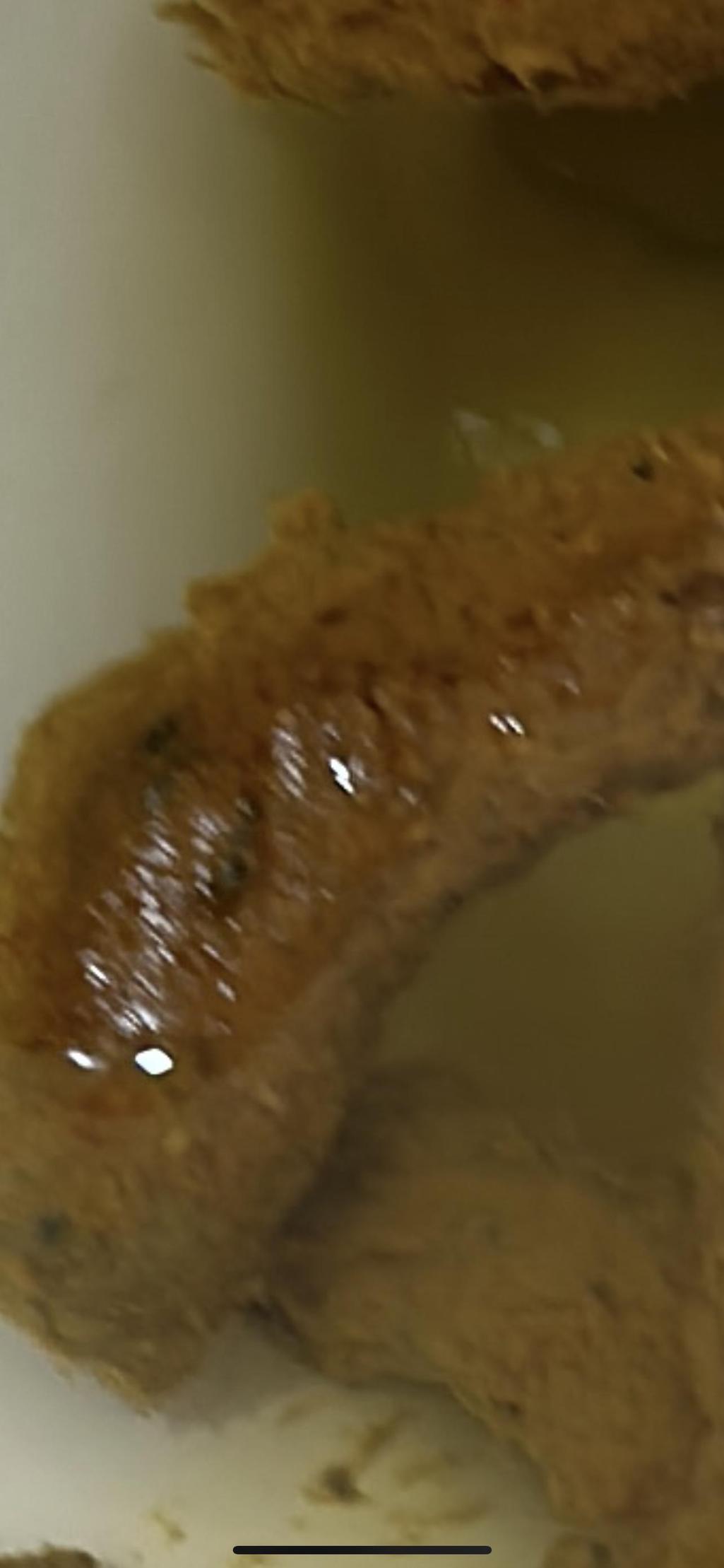 3번 째 사진