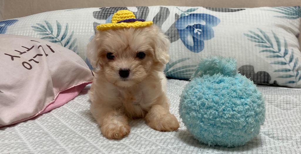 12번 째 사진
