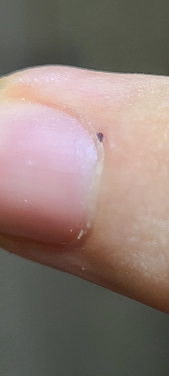 7번 째 사진