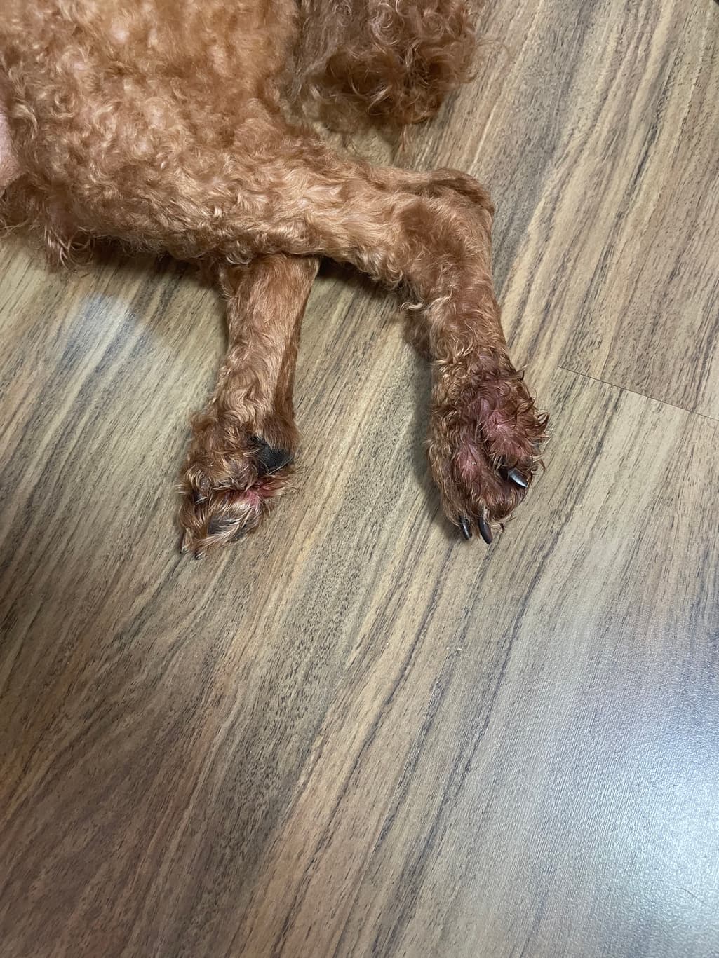 1번 째 사진