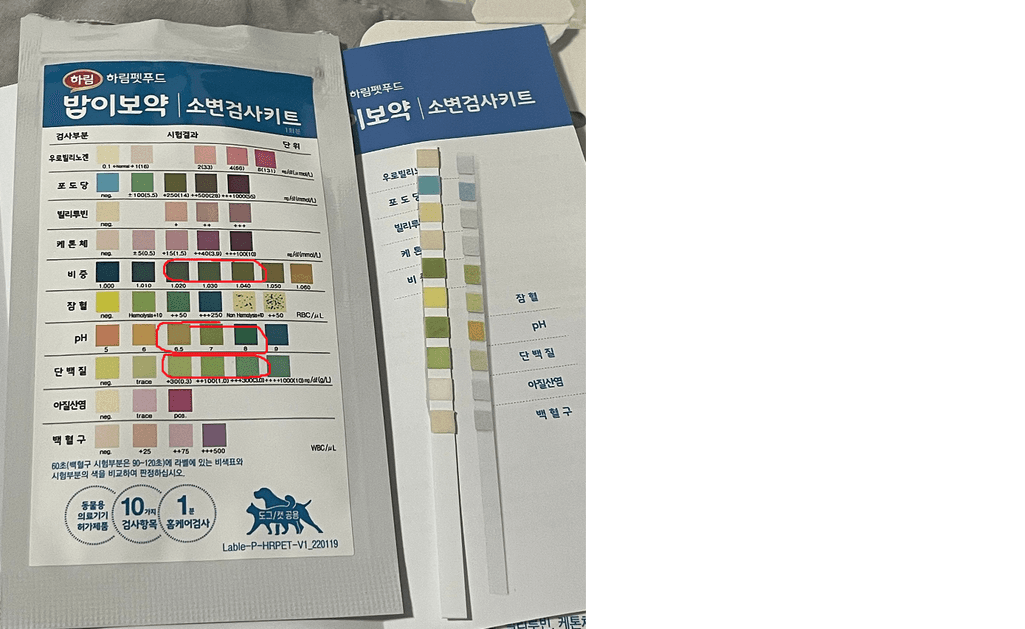 2번 째 사진