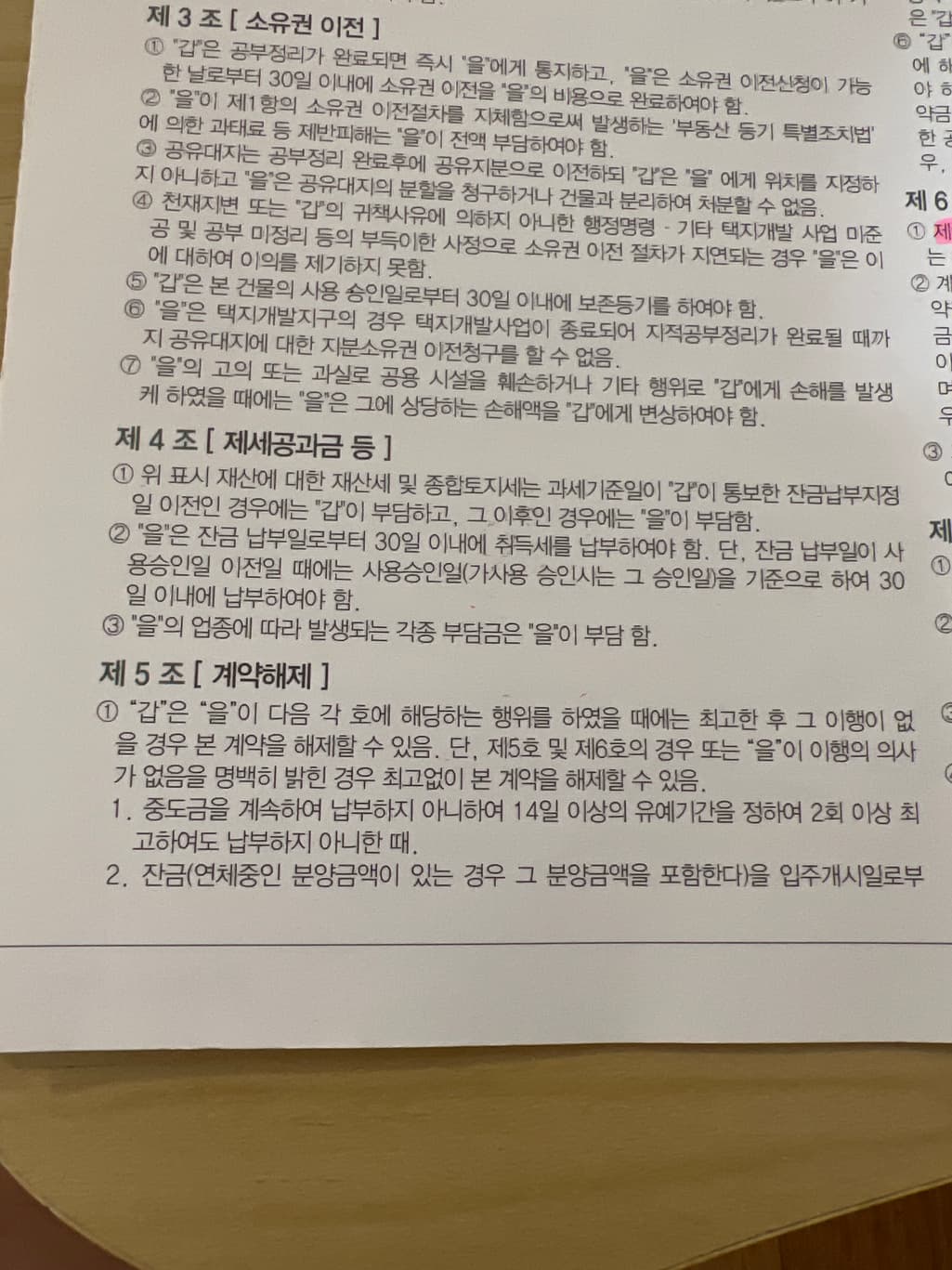 3번 째 사진