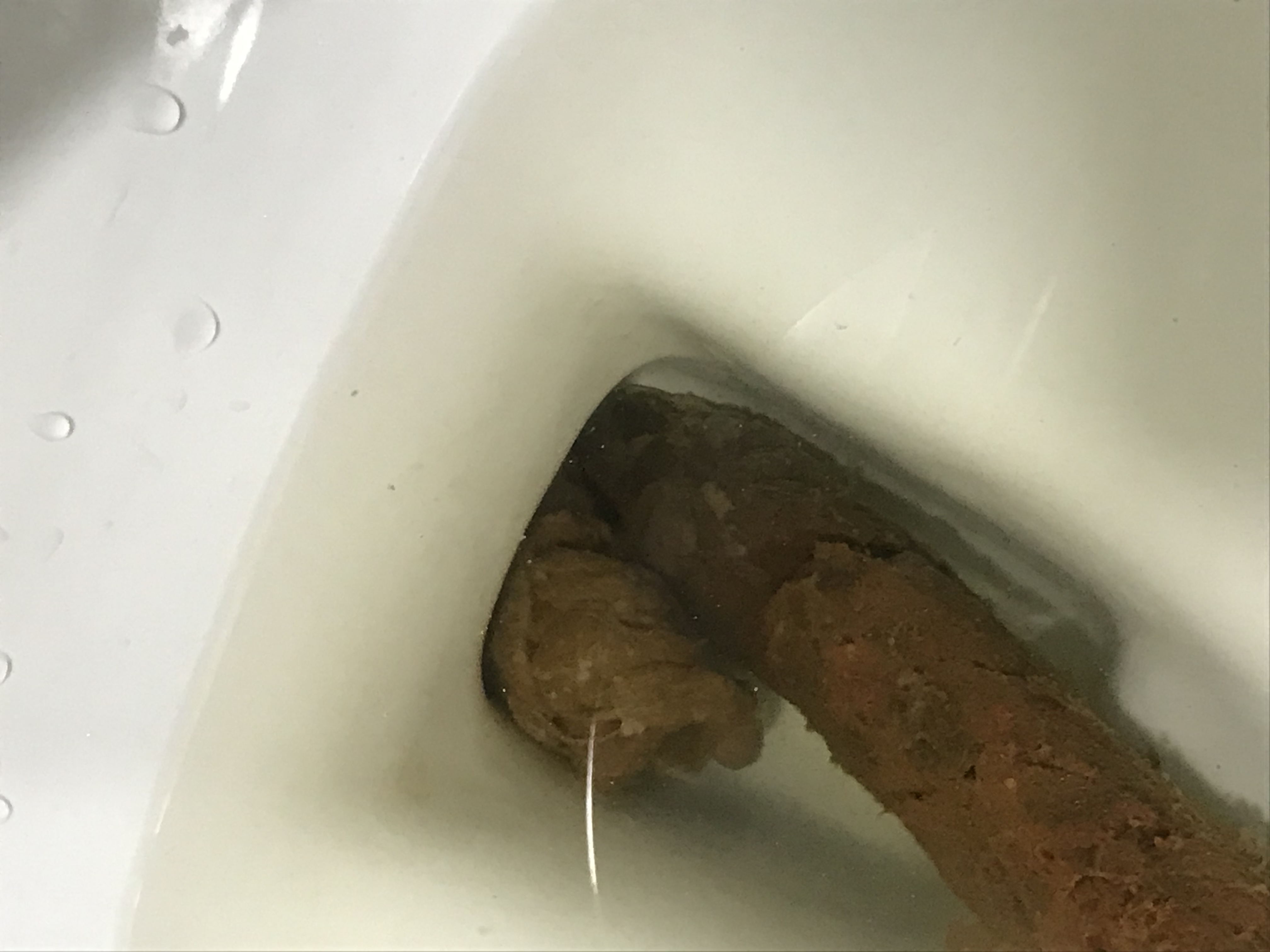 2번 째 사진