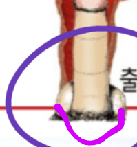2번 째 사진