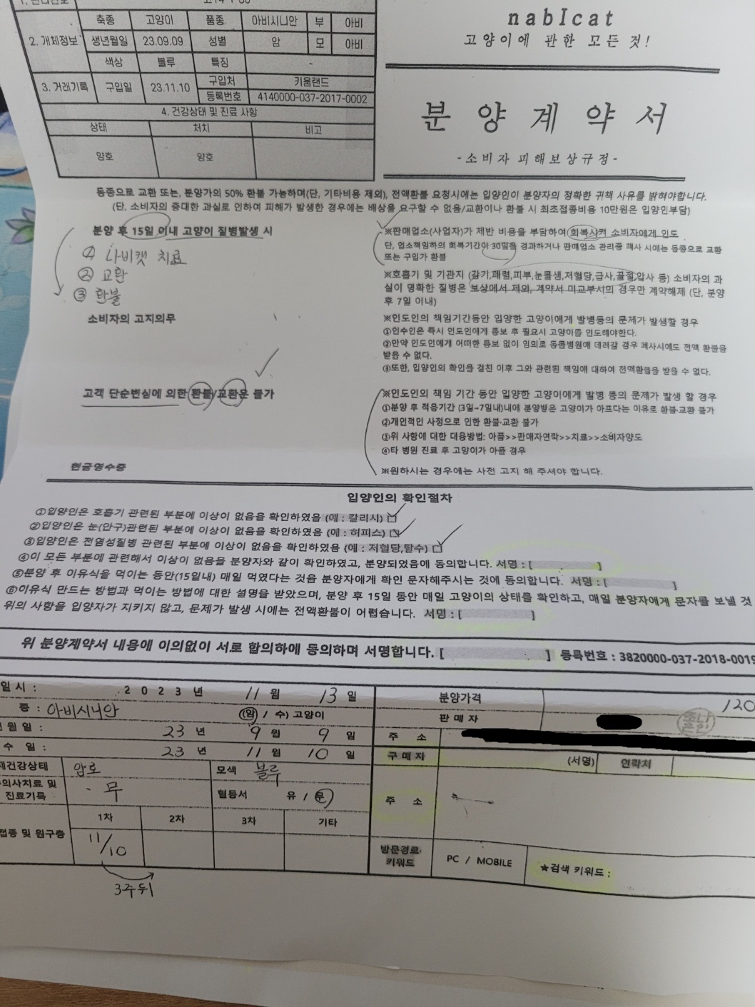 1번 째 사진