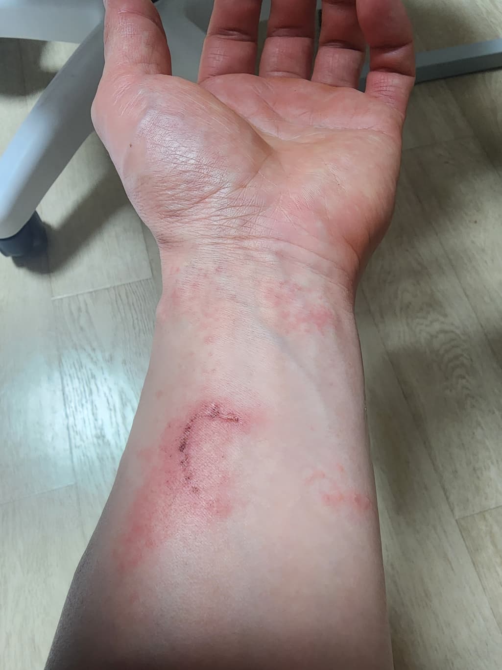 1번 째 사진