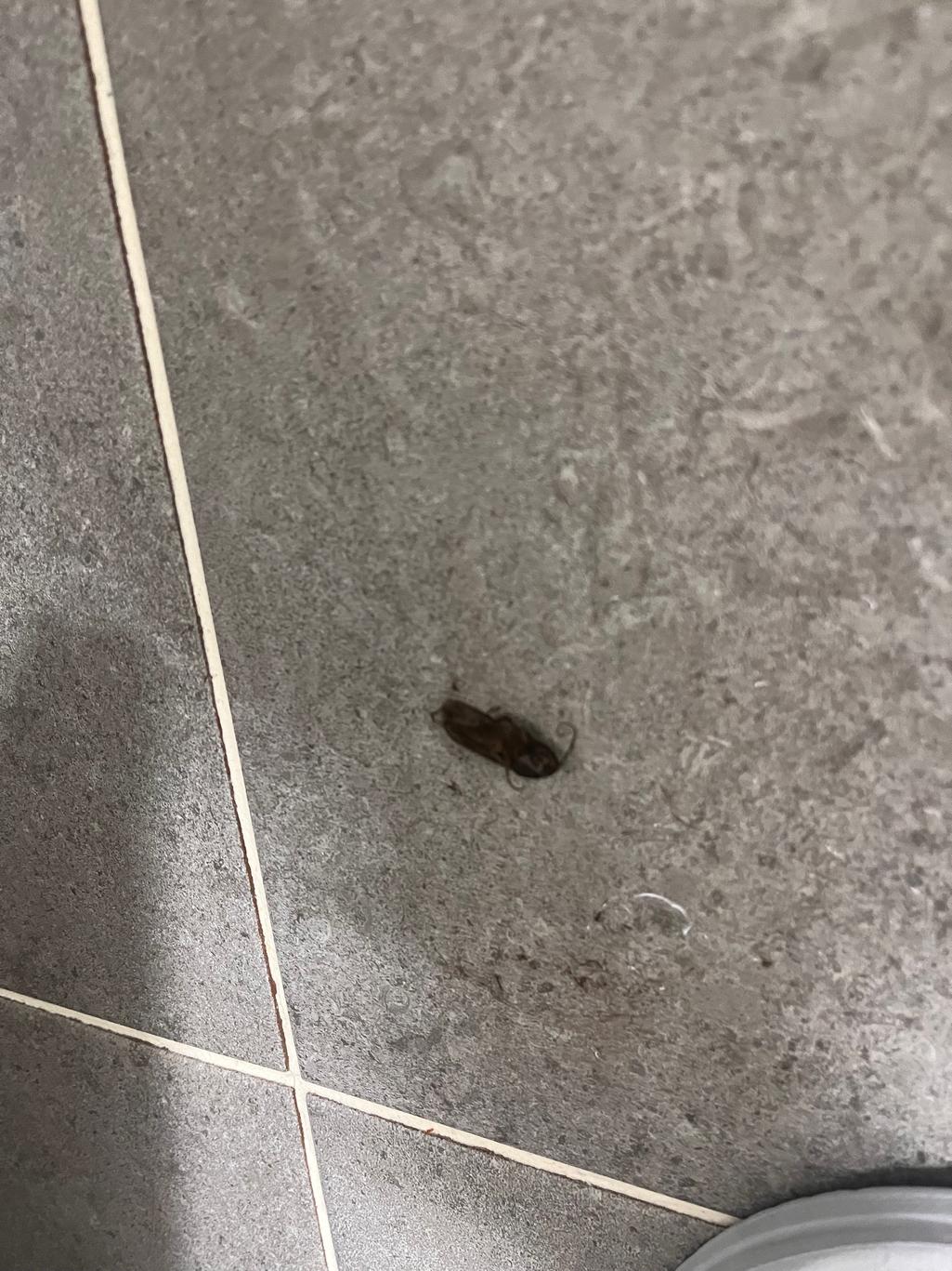 3번 째 사진