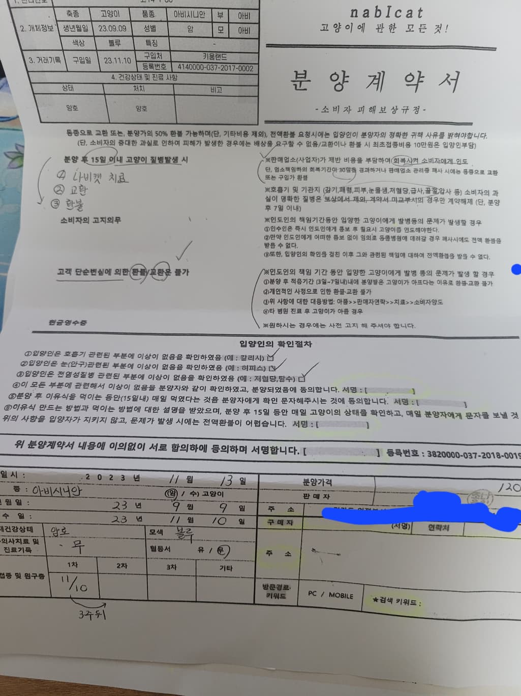 1번 째 사진