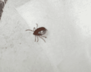 2번 째 사진