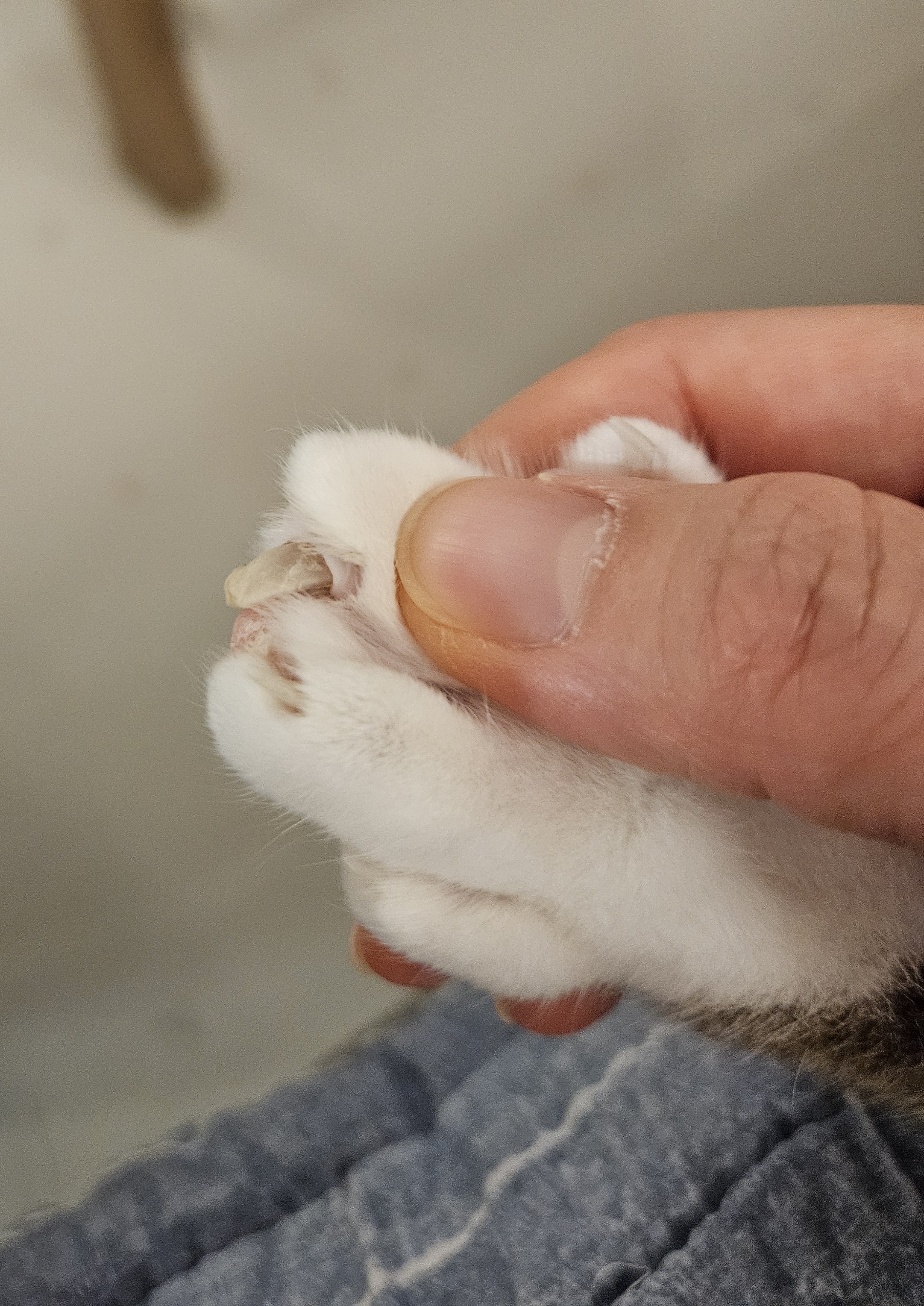 2번 째 사진