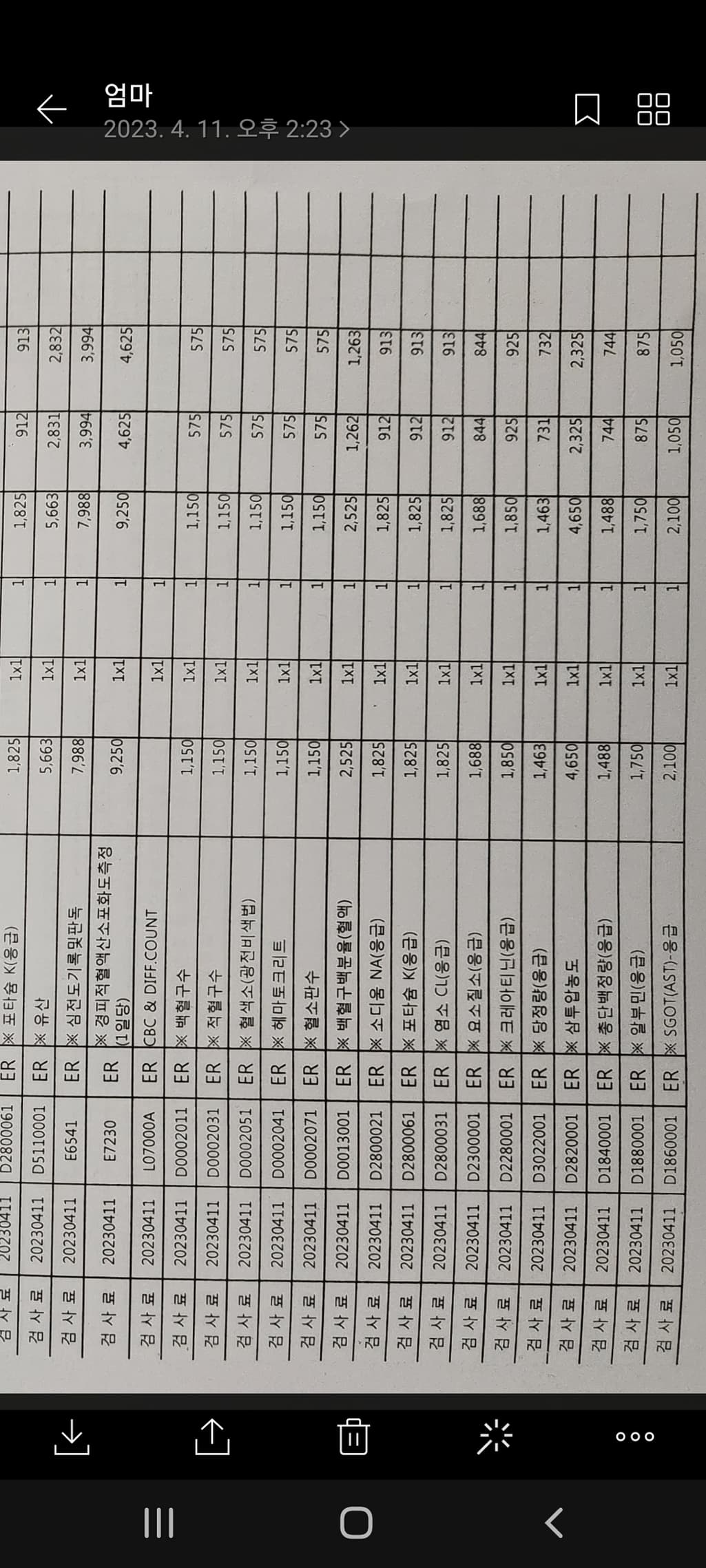 1번 째 사진