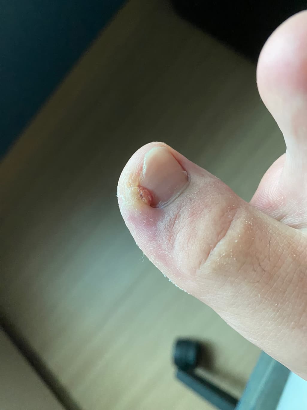 1번 째 사진