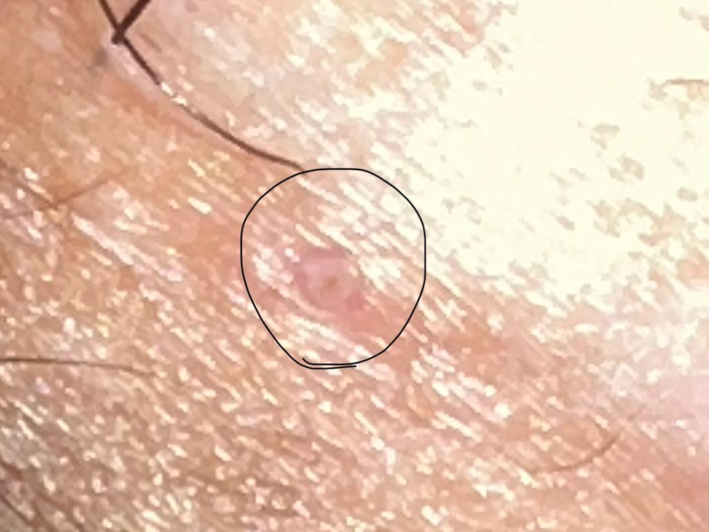 7번 째 사진