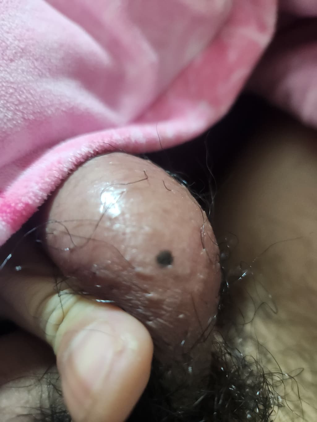 2번 째 사진