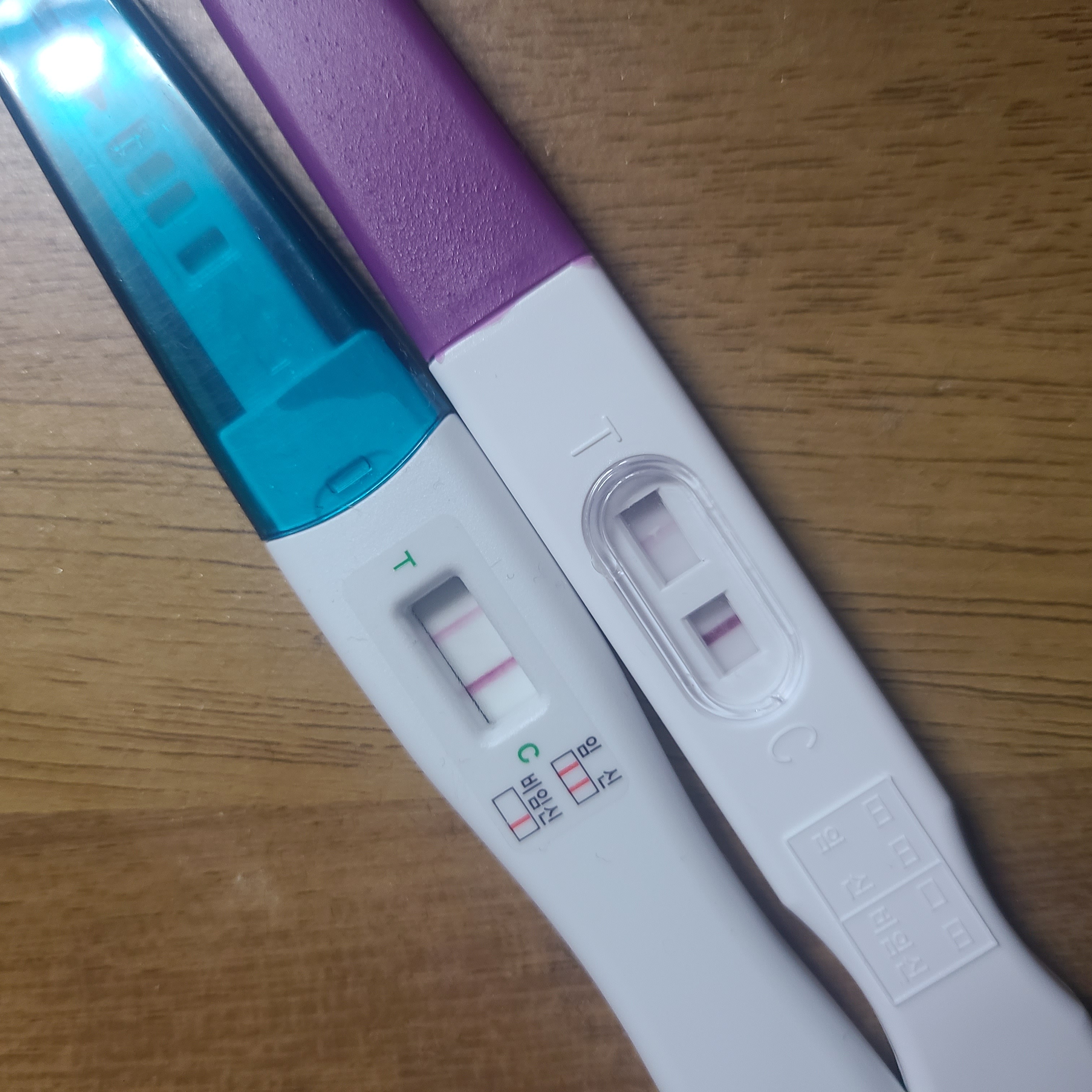 2번 째 사진