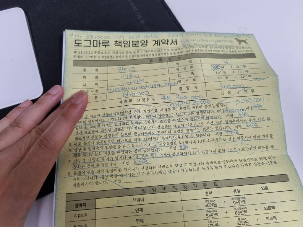 2번 째 사진