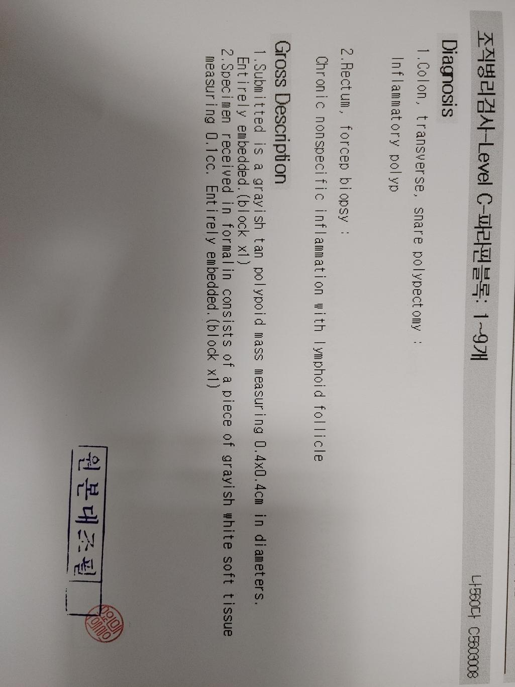 2번 째 사진