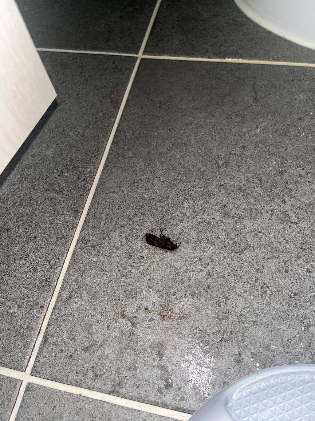 5번 째 사진