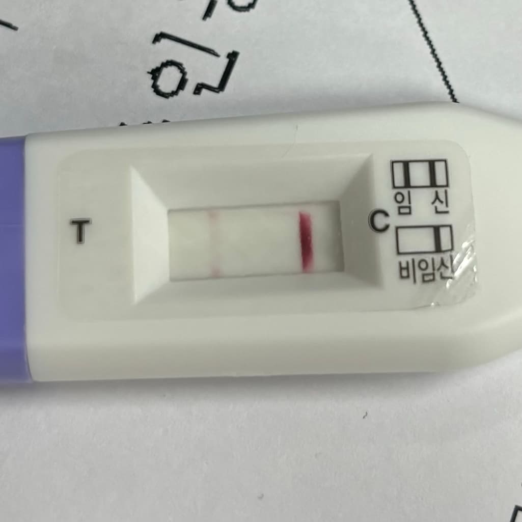 4번 째 사진