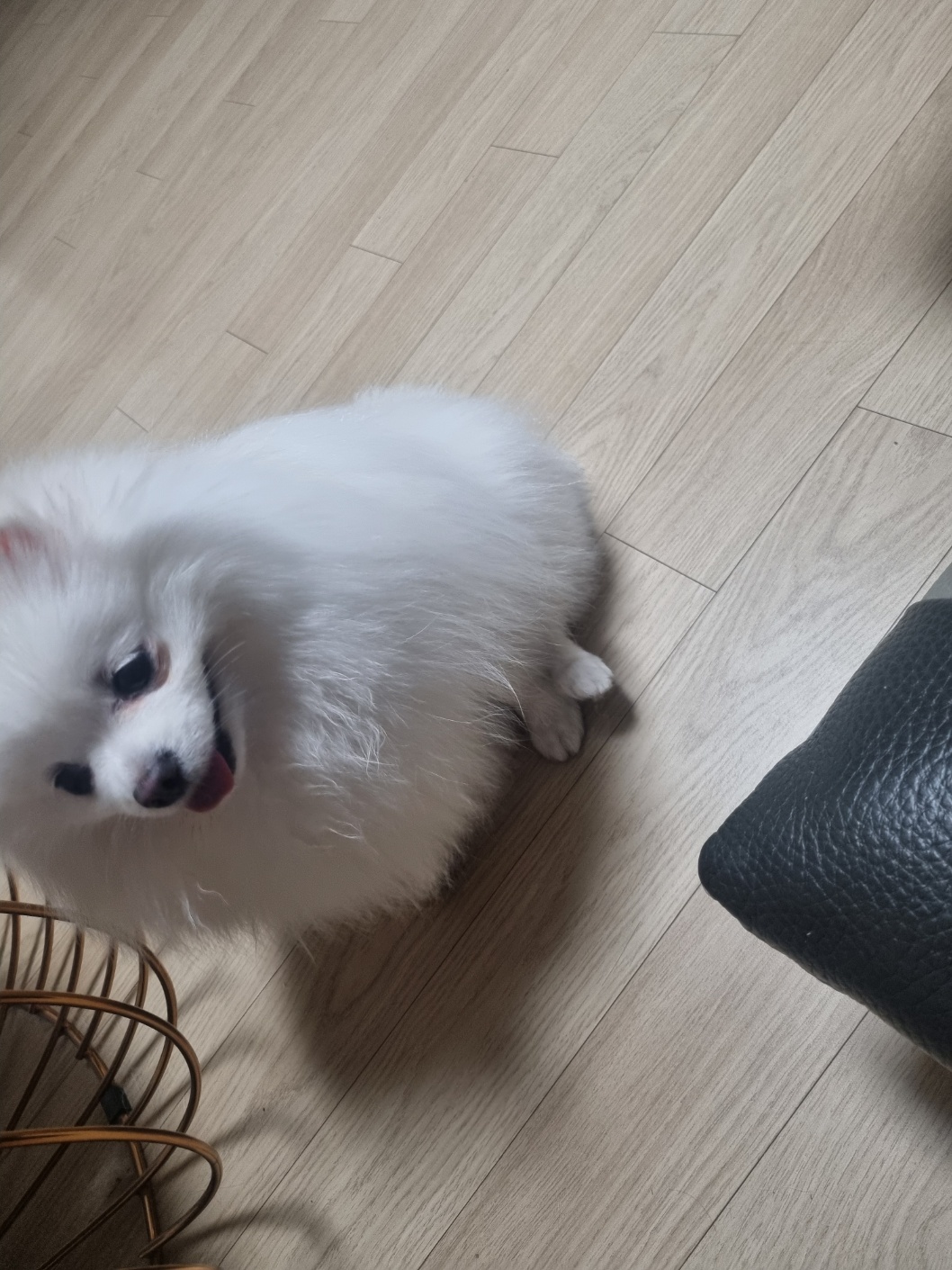 2번 째 사진