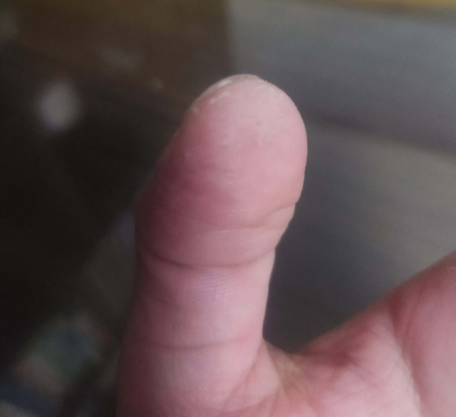 4번 째 사진